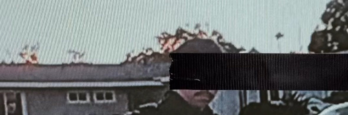 big dog banner