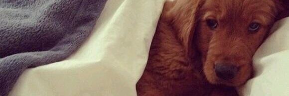 _fcblake's profile banner image