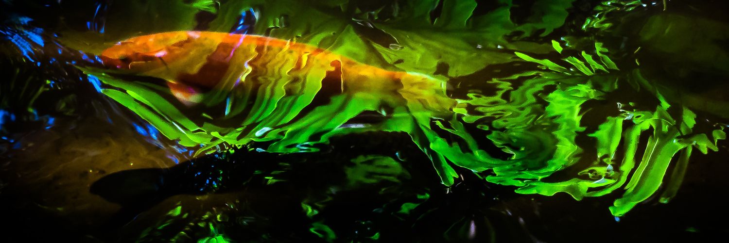 sanchez_jmc's profile banner image