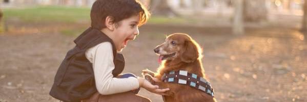 Phil. (and Chilli) banner