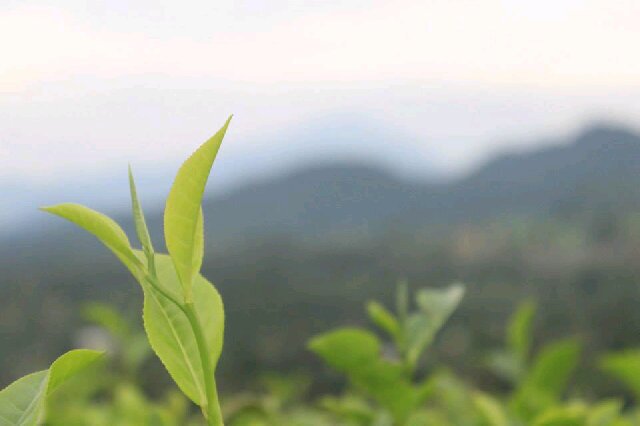 afu117's profile banner image