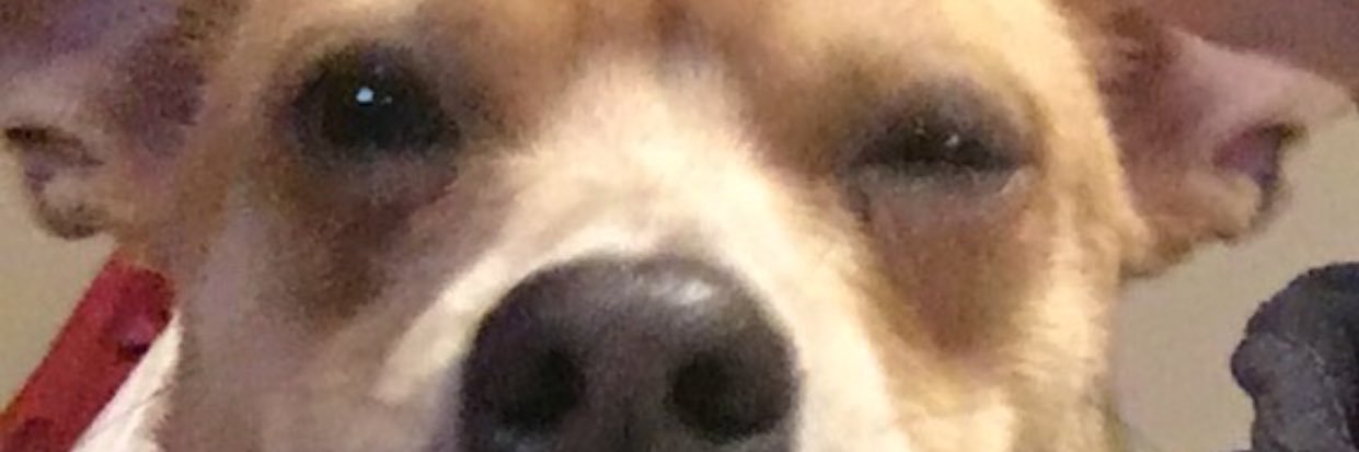 beastboy_25's profile banner image