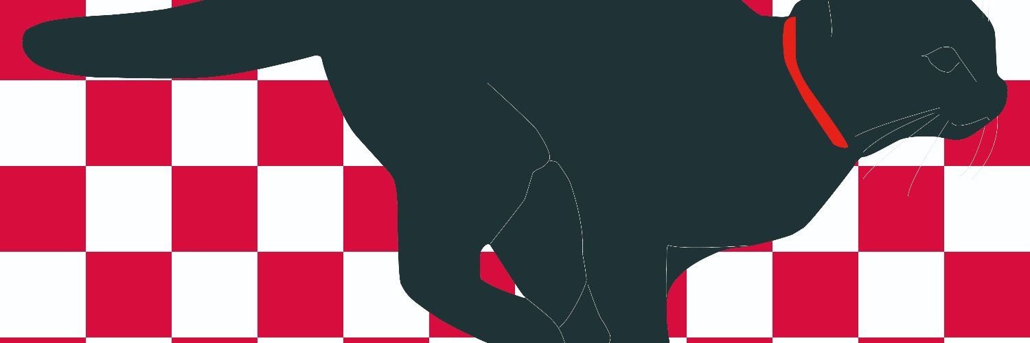emisofigrn's profile banner image