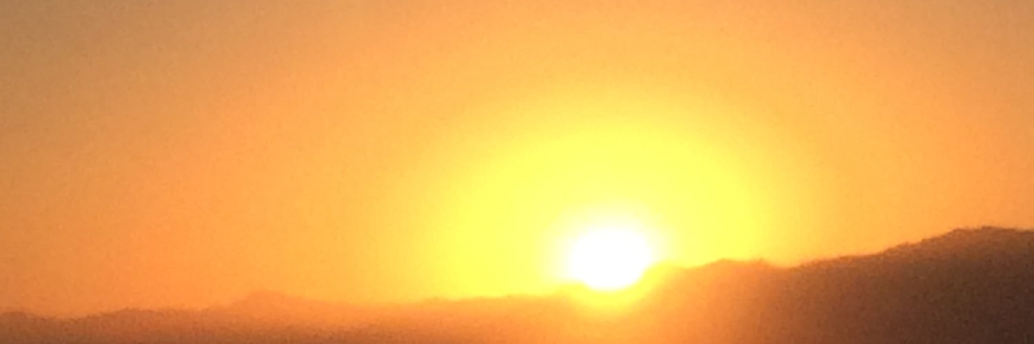 coymitra's profile banner image