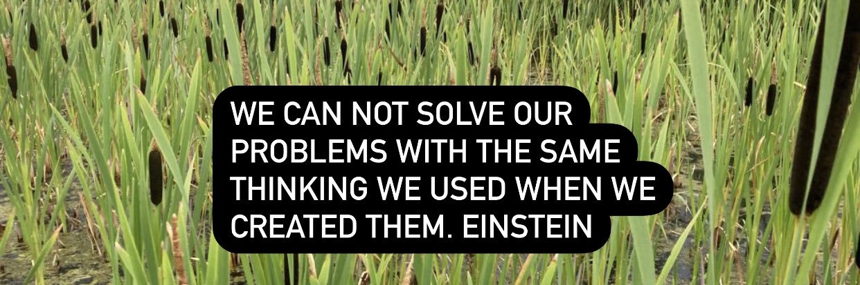 Biense Dijkstra @DijkstraDraisma banner