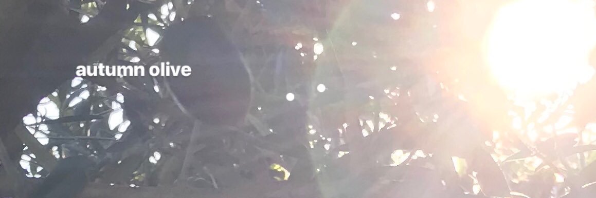 hadetsabra's profile banner image