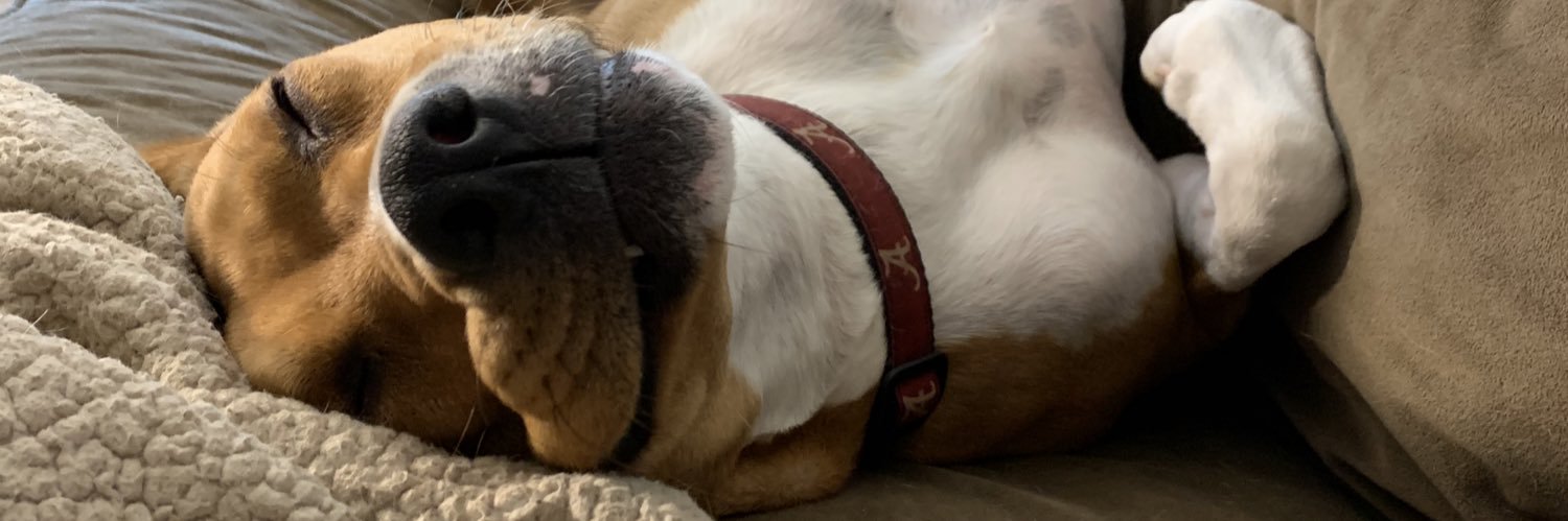 haley 🌹 banner