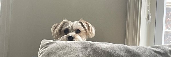mickianna Profile Banner