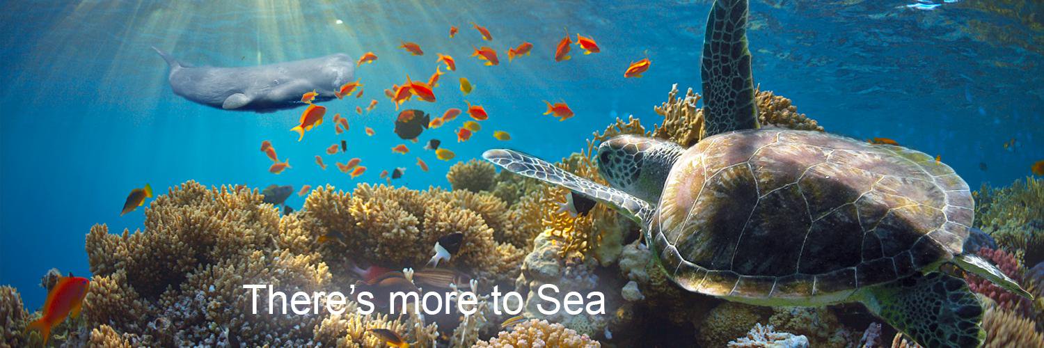 Dominica Fisheries banner