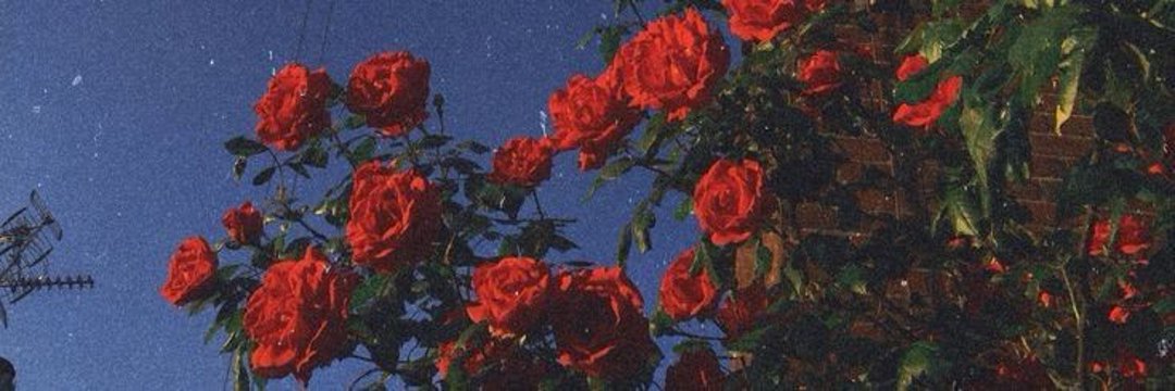 MicheleLago's profile banner image