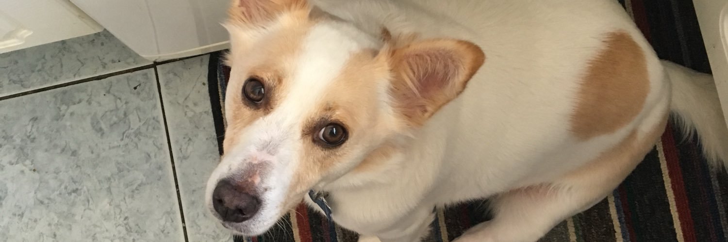 CharlieMcKendry's profile banner image