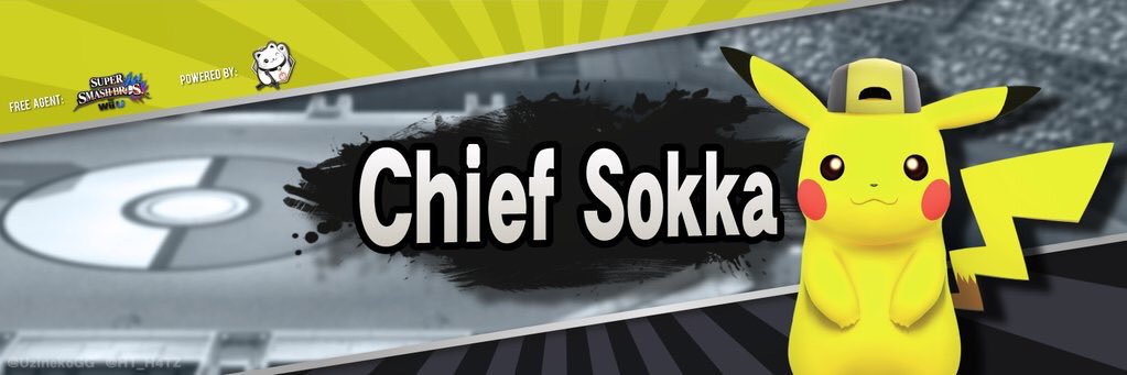 Chief Sokka banner