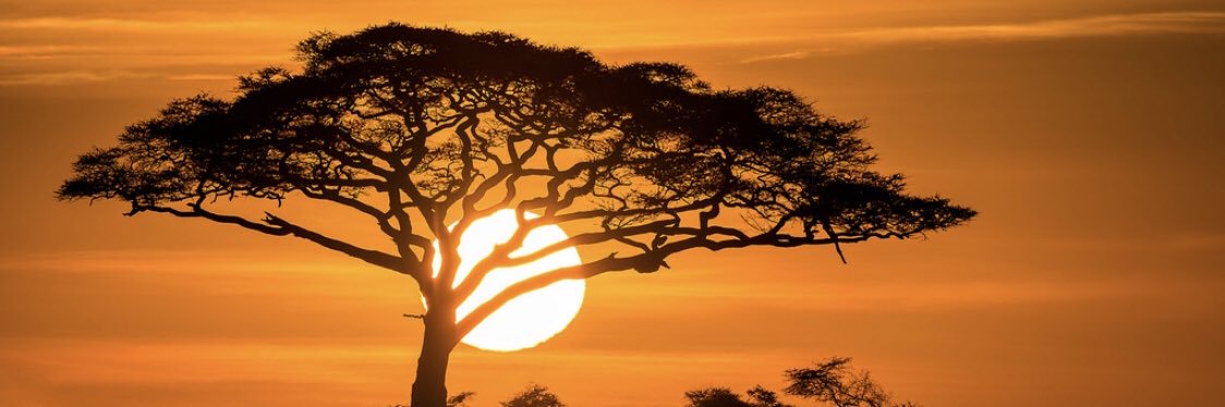 Dr Dermot McGovern banner