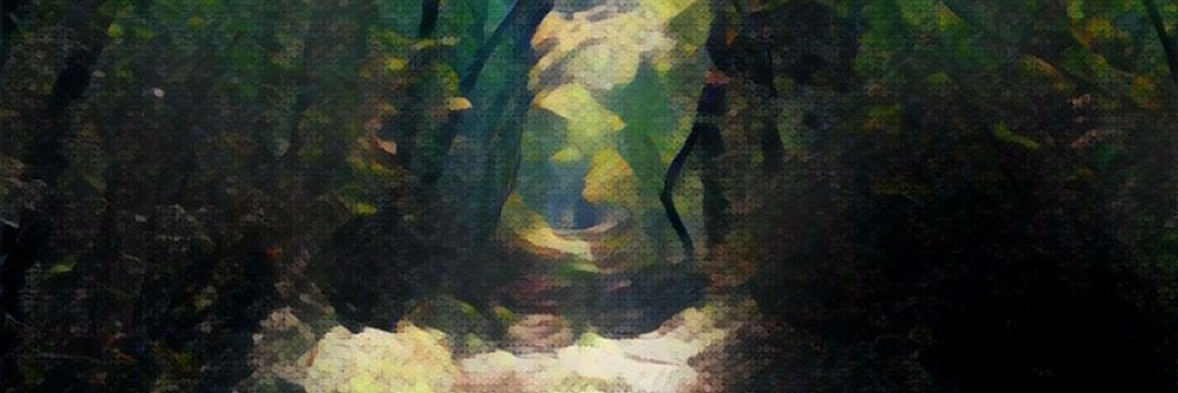 danfelf's profile banner image