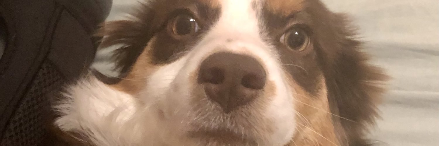 is_aa_cc's profile banner image