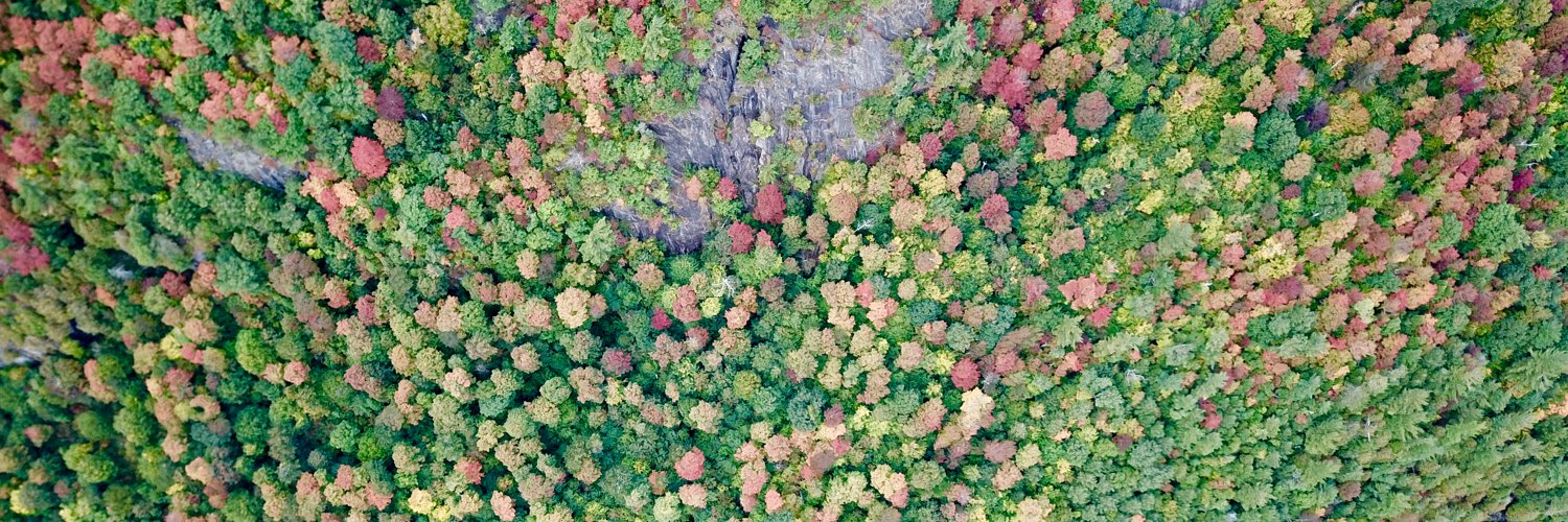 Shiran Pasternak banner