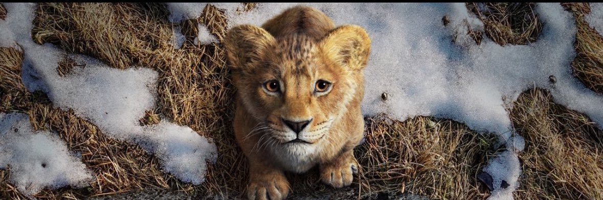 tomasseven's profile banner image