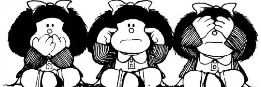 monicardosop's profile banner image