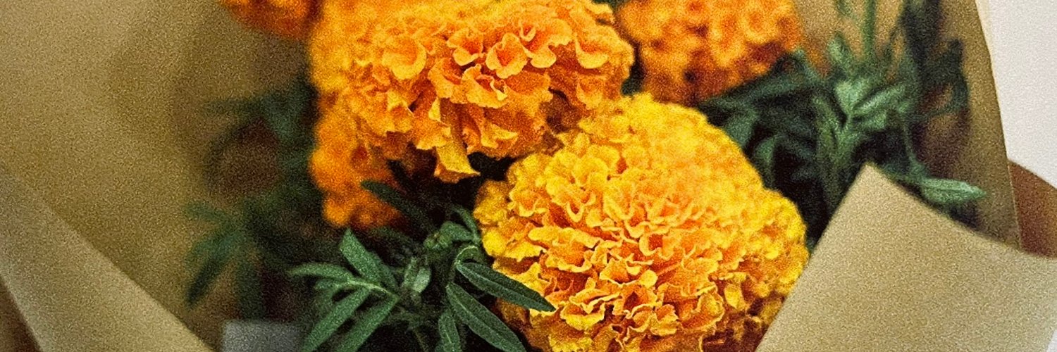 amesearle's profile banner image