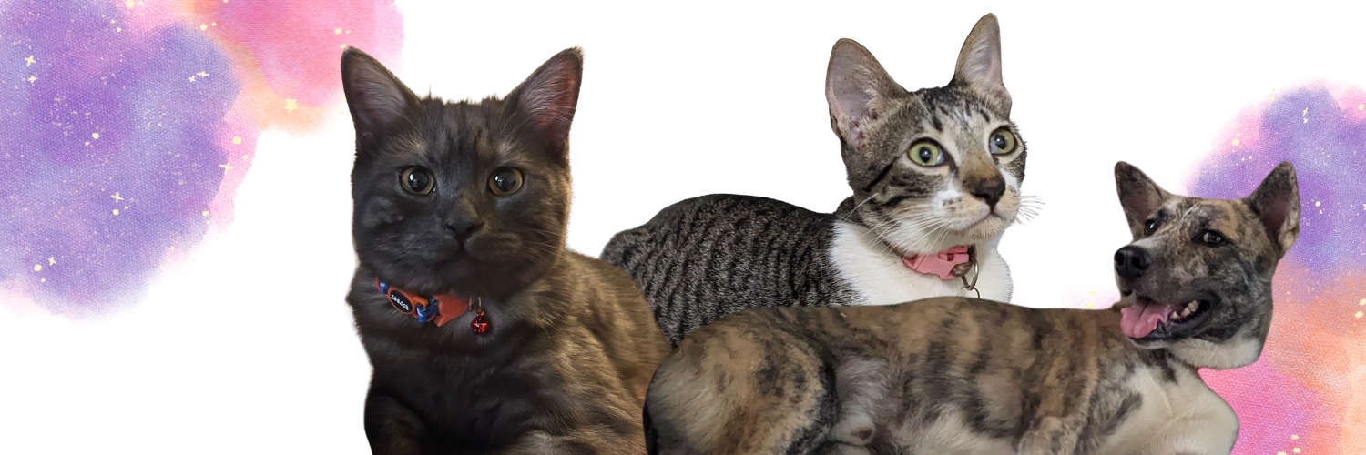 ᗷᗩᗪOᑎᘜ 👁️👅👁️ banner