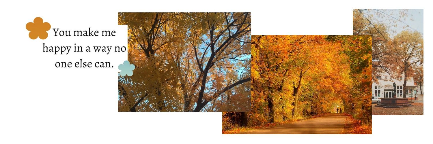 isabgdr's profile banner image