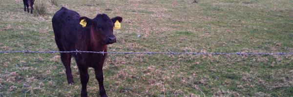 ViperHiggins Profile Banner