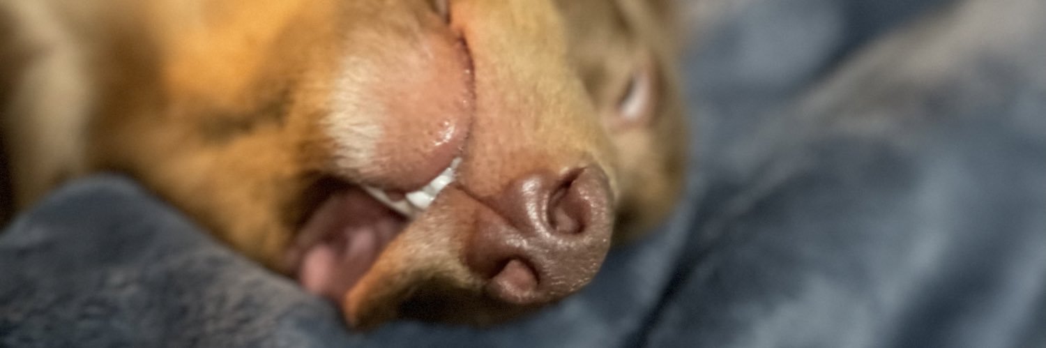 AnthonyMarquez's profile banner image