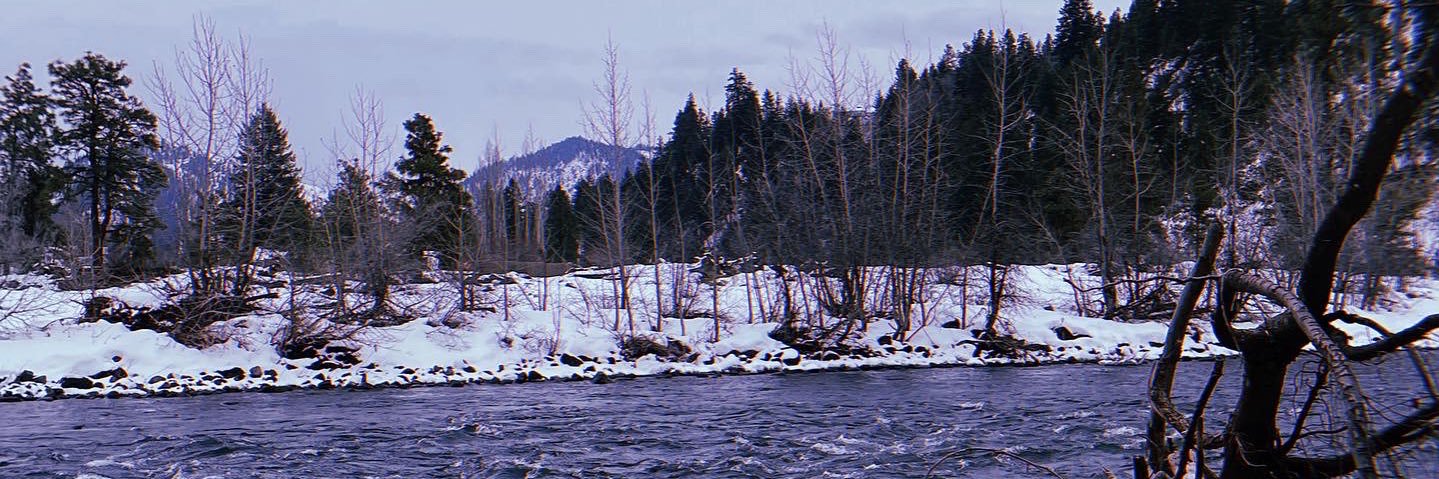 NAZZ banner