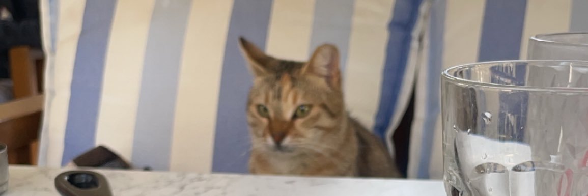 AntoninusPuss's profile banner image