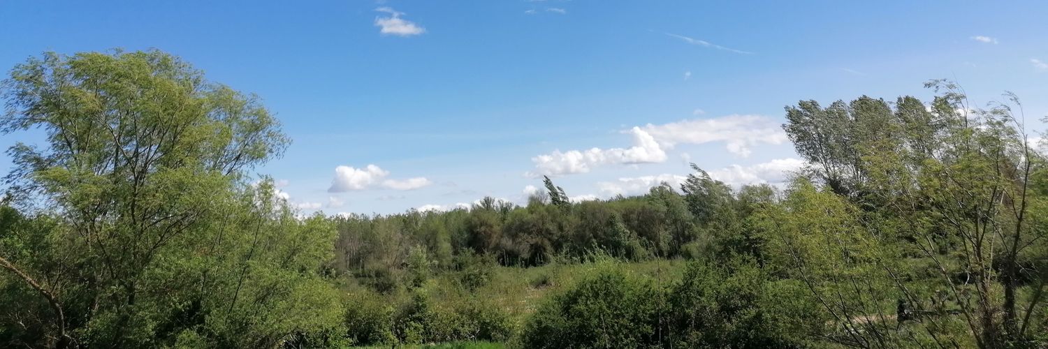 DavidValdueza's profile banner image