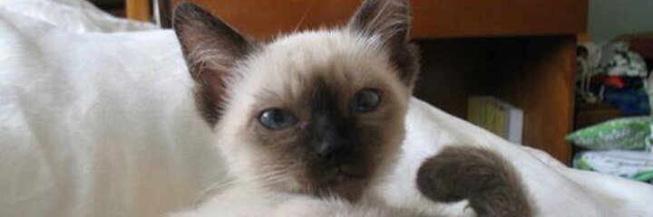 ilovedade's profile banner image