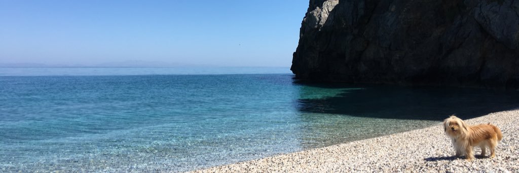 Dimi_Choo's profile banner image