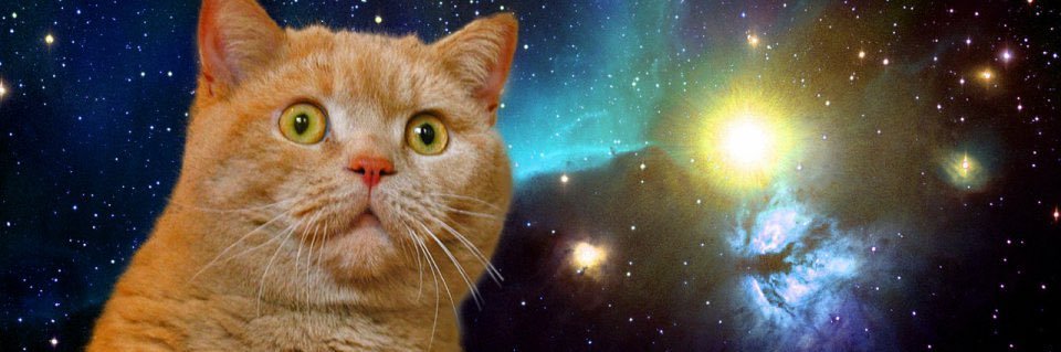 alivemog's profile banner image