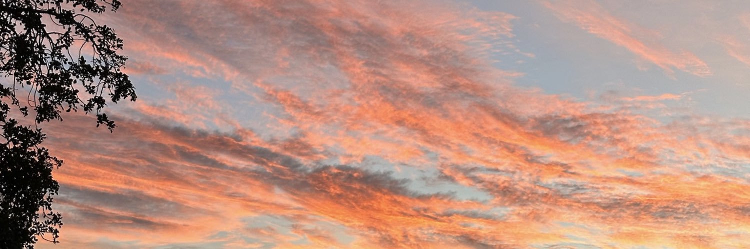 🛸 jani 🛸 banner