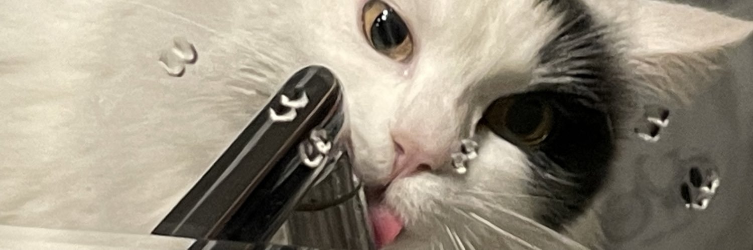 zojulit's profile banner image