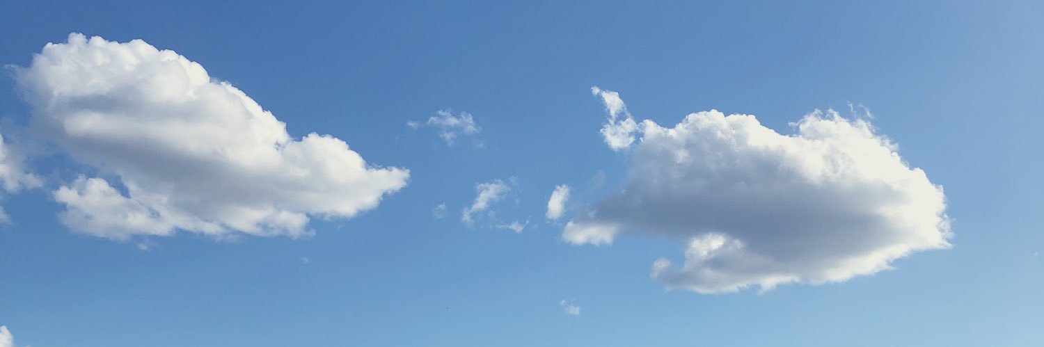 SGuendelman's profile banner image