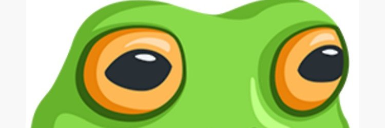 BigFatFrog banner