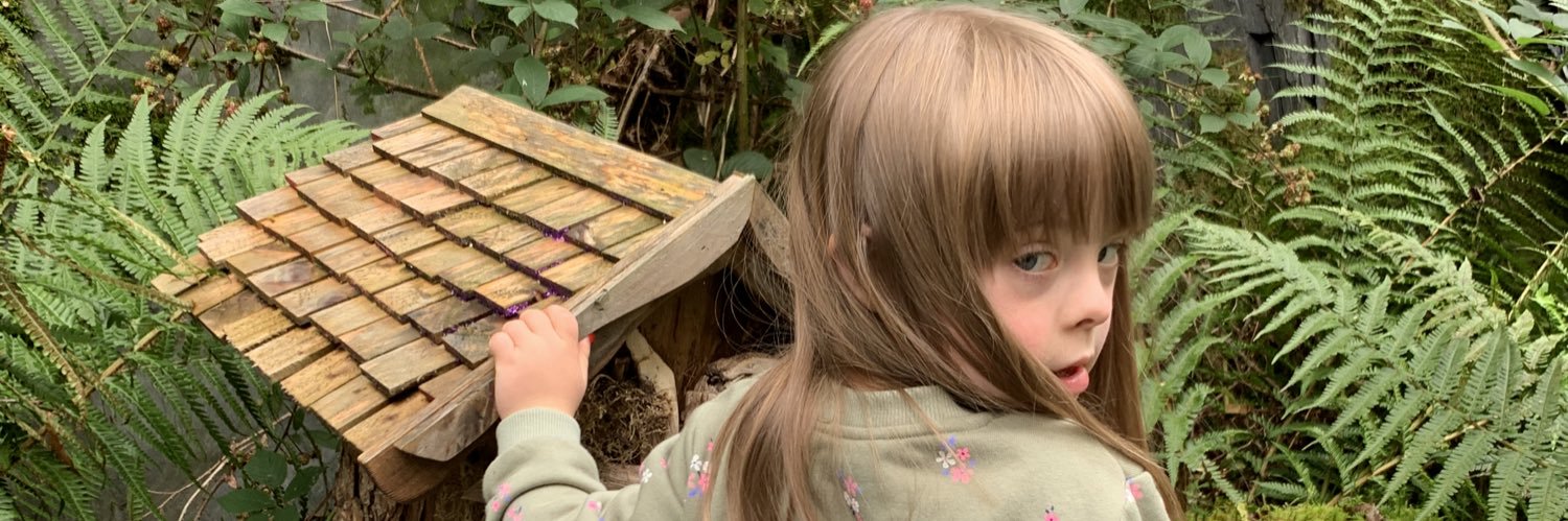 David Patterson banner