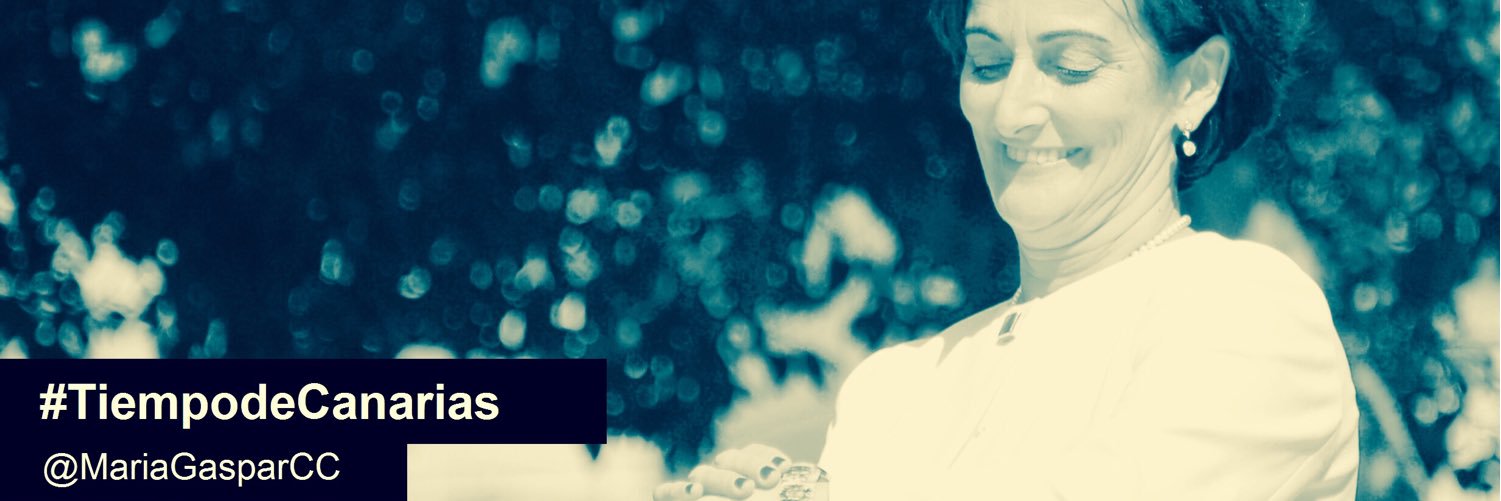 MariaGasparCC's profile banner image