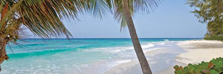 CaribInspired's profile banner image