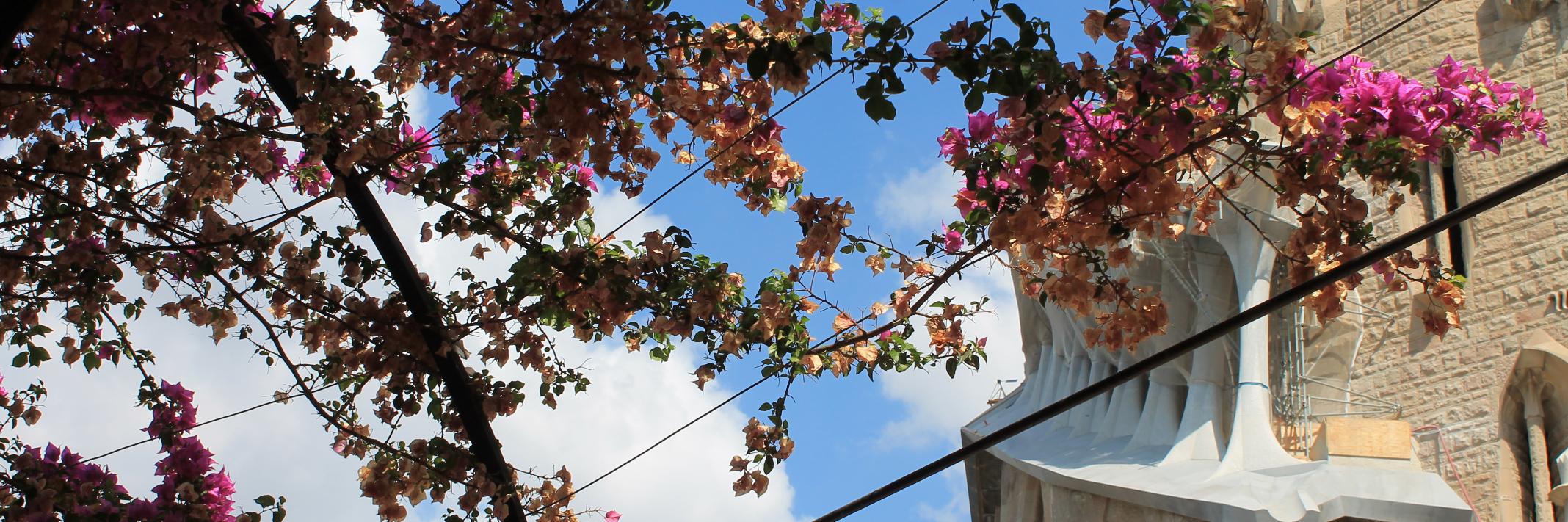 TestLink OpenSource banner