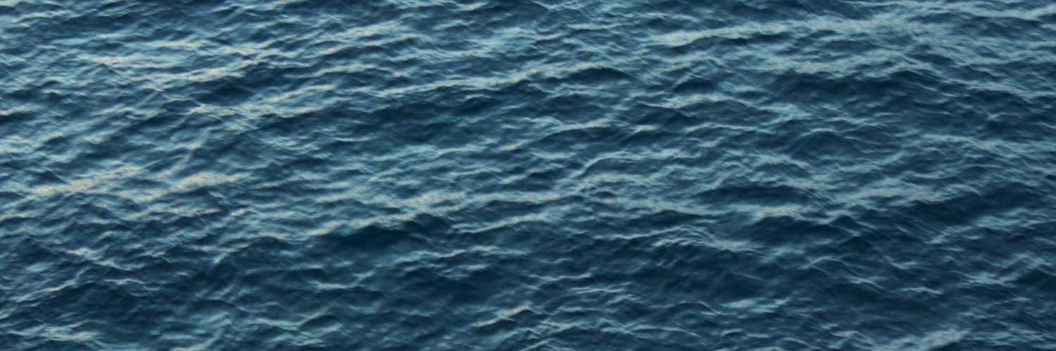 carlaacedoo's profile banner image