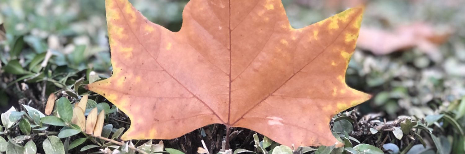 PabloMoli182's profile banner image