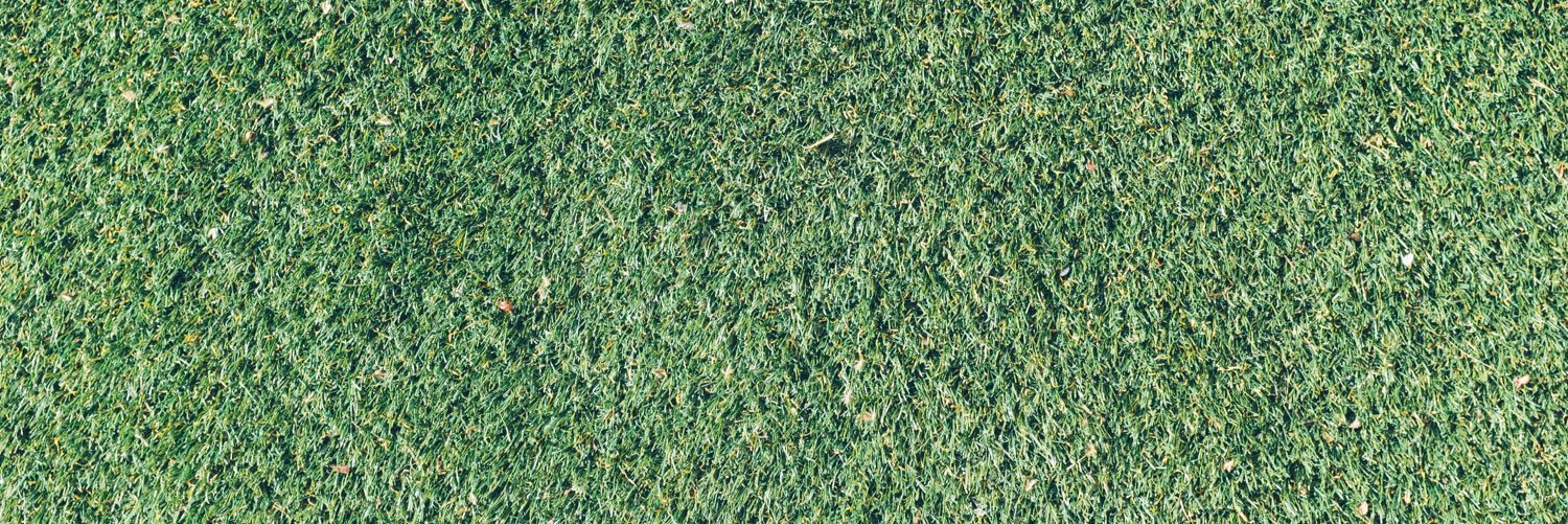 Not Enough Cricket banner