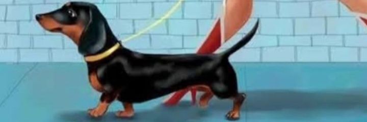 royale___'s profile banner image