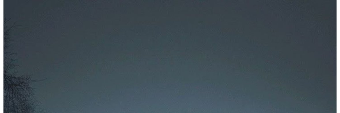 𝐁𝐢𝐥𝐝𝐞𝐫𝐛𝐞𝐫𝐠𝐢𝐢 banner