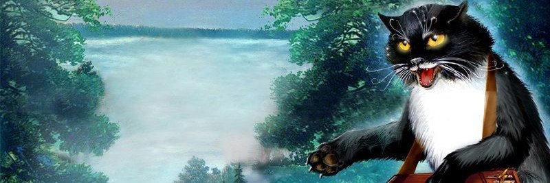 vinicius banner