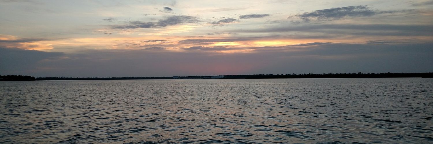 Chasity Hardyman banner