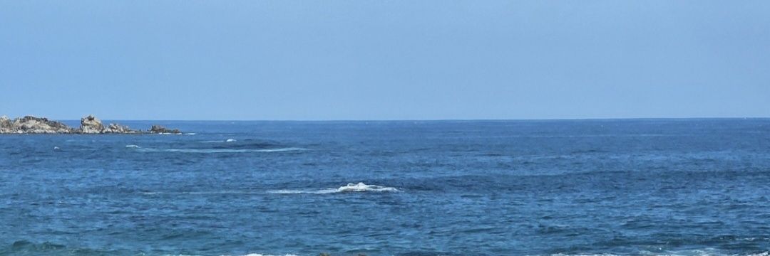NY_1998's profile banner image