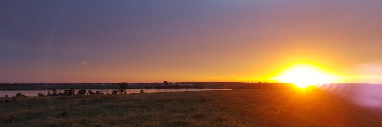 Dillon Fogarty banner